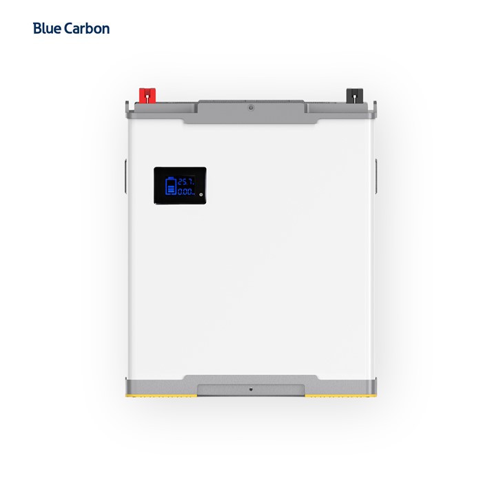 Blue Carbon 24V 200Ah 250Ah 300Ah LiFePO4 Lithium Battery 5kWh 6kWh 7kWh for Solar Energy System price